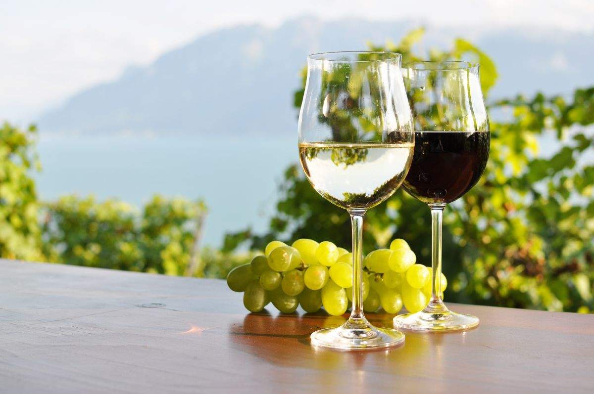 
A Dachser oferece serviços de otimização global em toda a cadeia de abastecimento da indústria do vinho, da vinha à prateleira
