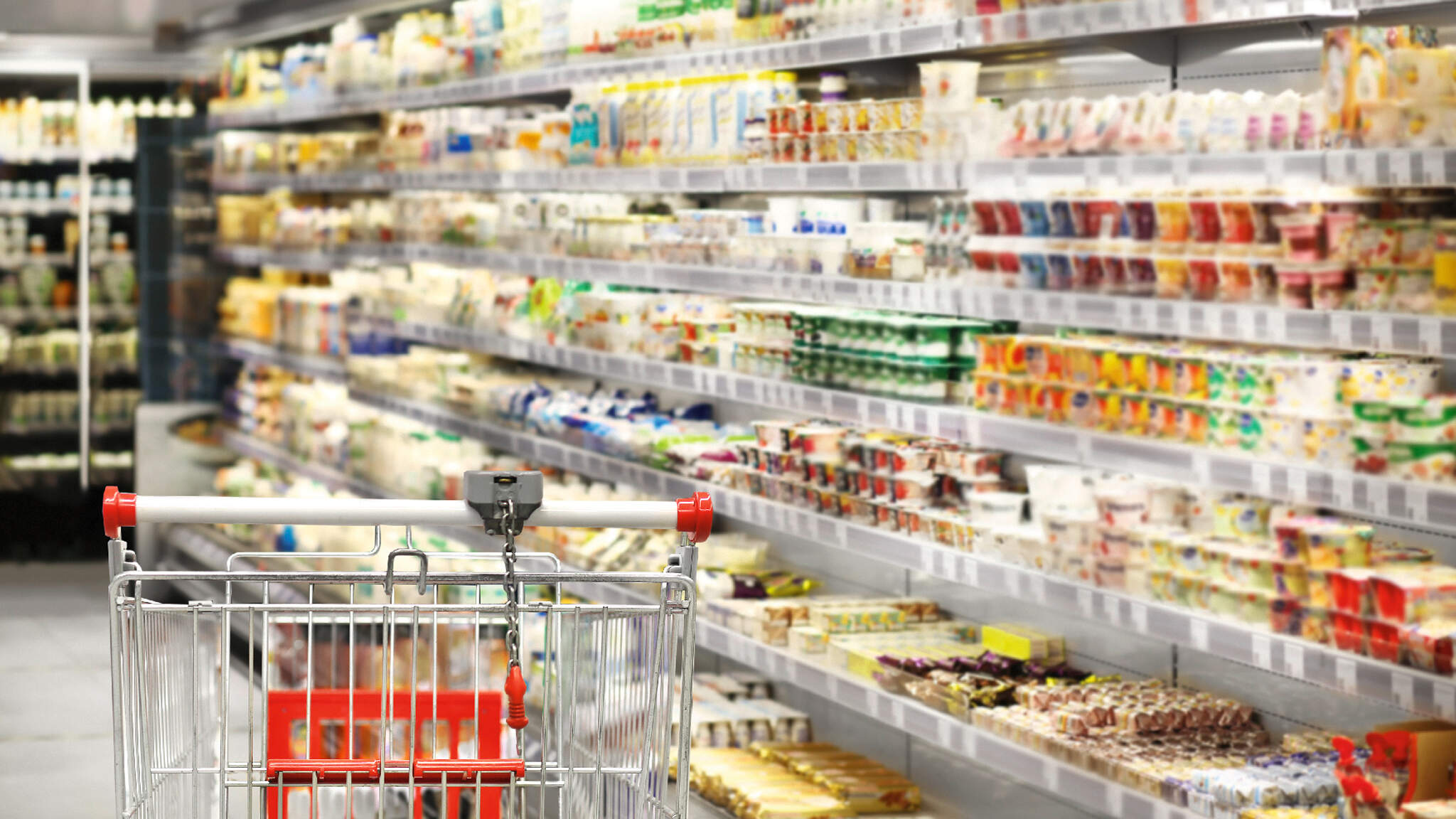 Alimentos frescos estão sempre em demanda Alimentos frescos estão sempre em demanda